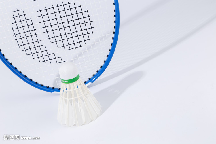 中的适应能 中的适应能