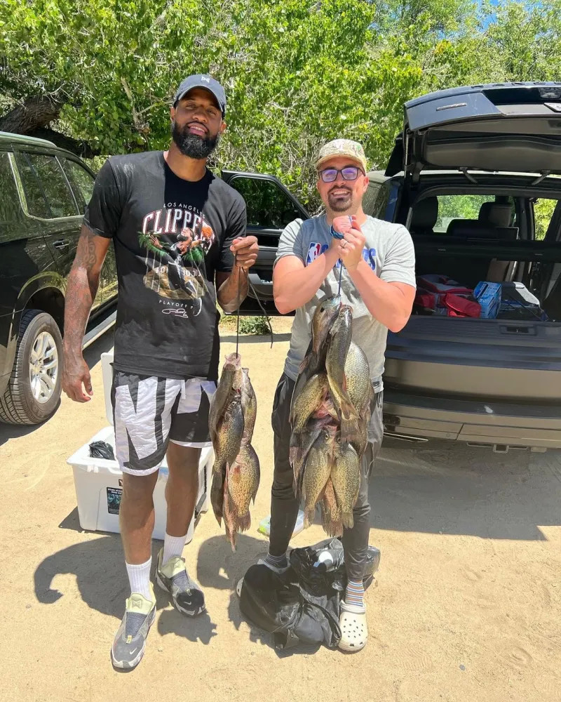 了沙特联赛 了沙特联赛