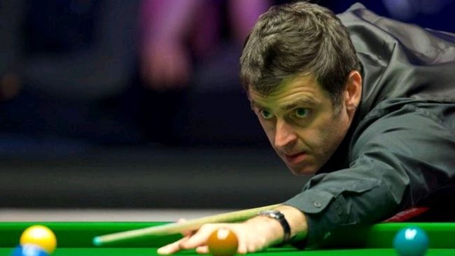 赛冠军的宝 赛冠军的宝